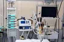 Ученые из Нижнего Новгорода разморозили раковые клетки спустя 12 лет