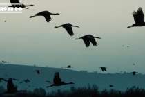 Нижегородец Дмитрий Клычков представил новую патриотическую песню