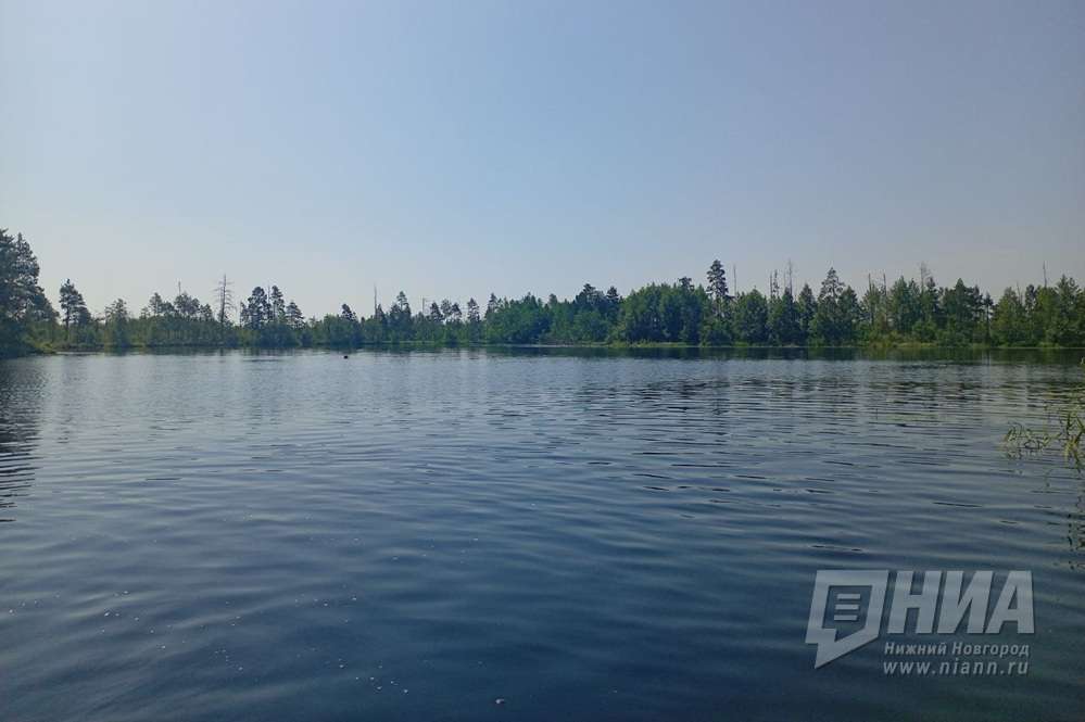 Мужчина утонул в пруду Толстик в Сергаче