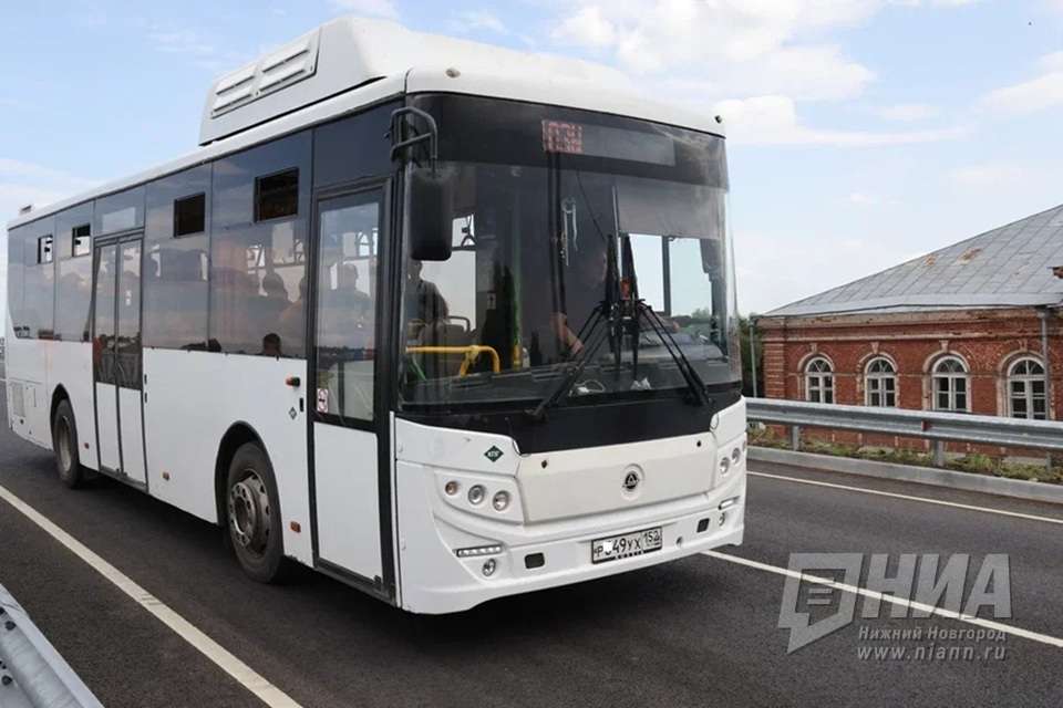 Около 300 зайцев поймали в нижегородских автобусах