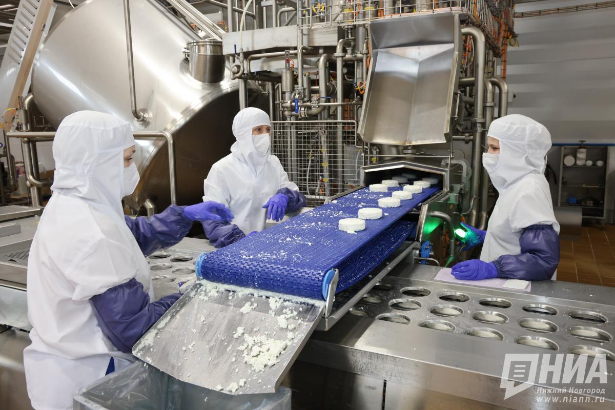 Более 50 тонн молочки без документов сняли с оборота в Нижегородской области