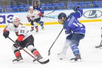 Чайка взяла уверенный реванш у Кузнецких Медведей