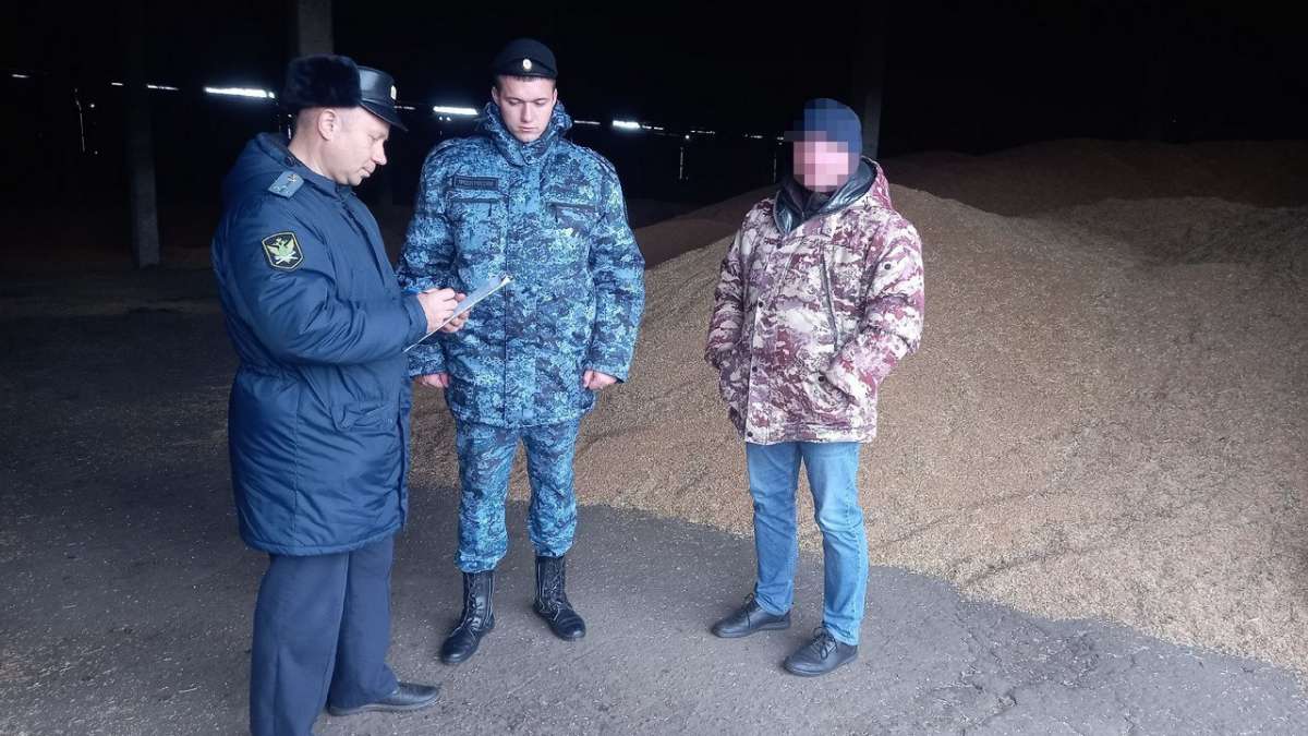 Нижегородские приставы арестовали более 420 тонн пшеницы за долги