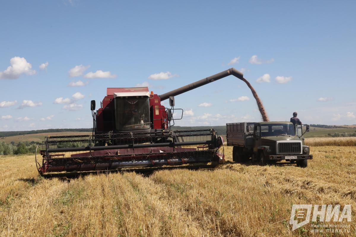 Более 1,4 тысячи вакансий заявили на портале Работа России компании АПК в Нижегородской области