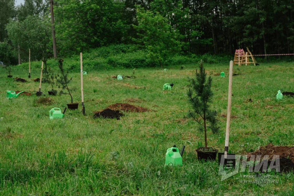 4,6 млрд рублей направят на охрану окрущающей среды в Нижнем Новгороде