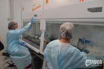 Химзавод за 18,4 млрд рублей собираются построить под Нижним Новгородом