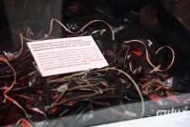 Археологи нашли способ защитить муромский могильник от черных копателей