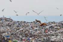 Девять крупных свалок убрали в Нижнем Новгороде в 2025 году