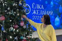 60 нижегородских предприятий приняли участие в акции Ёлка желаний. Мой бизнес помогает 52