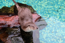 Зима в Лимпопо