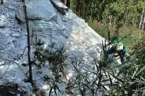 780 тысяч рублей взыскивают с мэрии Дзержинска за ущерб почвам в Пыре