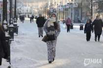 Нижегородцам рассказали, как пережить зиму