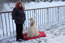 Съемки сериала Акушер в Нижнем Новгороде