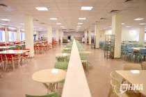 Повторную проверку проведут в богородской школе после отравления учеников