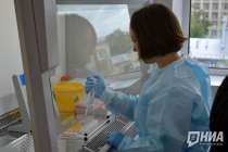 Норовирус стал причиной массового отравления школьников Богородска