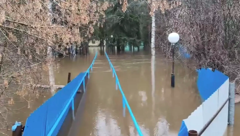 Пансионат и два детских лагеря затопило в Городецком округе