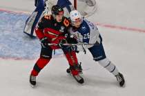 Нижегородская Чайка всухую уступила Омским Ястребам в первом матче серии