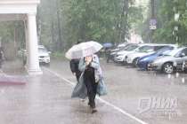 Дожди со снегом и потепление до +12  градусов ждут нижегородцев на новой неделе