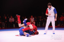 Всероссийские соревнования памяти бойцов СВО по боевому самбо