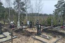 Развлечение молодежи привело к пожару на нижегородском кладбище