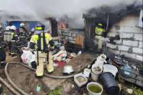 Около 200 собак сгорели заживо в Нижнем Новгороде