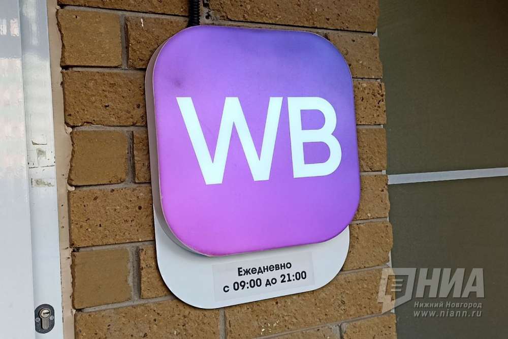 Более 80 нижегородских продавцов WB обратились за поддержкой к властям региона