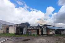 Четыре коровы заживо сгорели в Нижегородской области