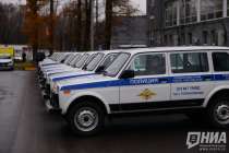 Полиция проводит проверку после сообщений о погибших собаках в Дзержинске